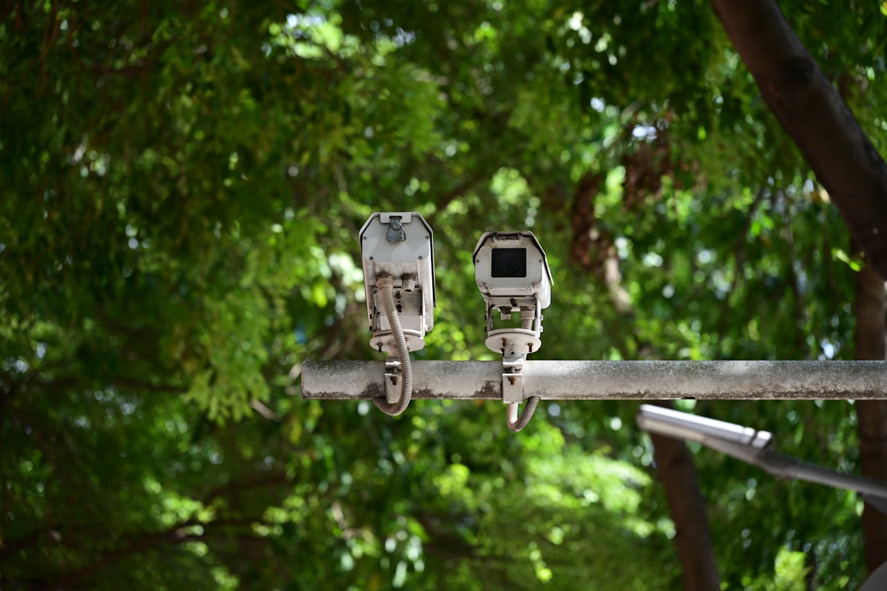 Outdoor security cameras mounted on a pole against lush green foliage.